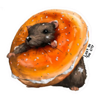 A rat stuck in an everything bagel